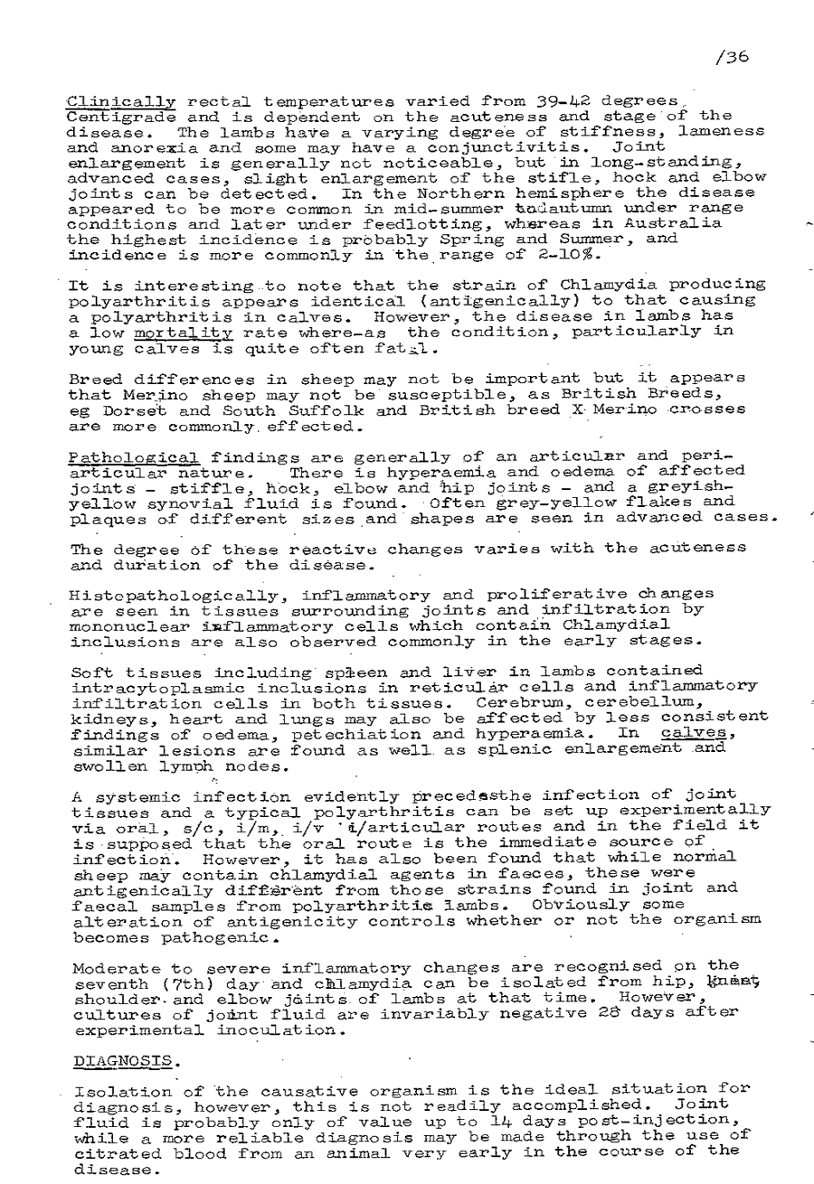 1975 page 36